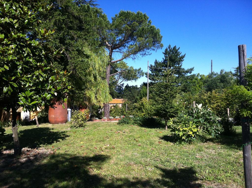 Villa Nunzia Cupramontana Exteriör bild